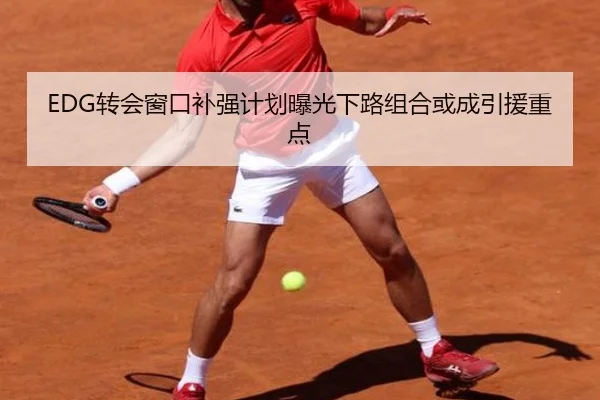 EDG转会窗口补强计划曝光下路组合或成引援重点